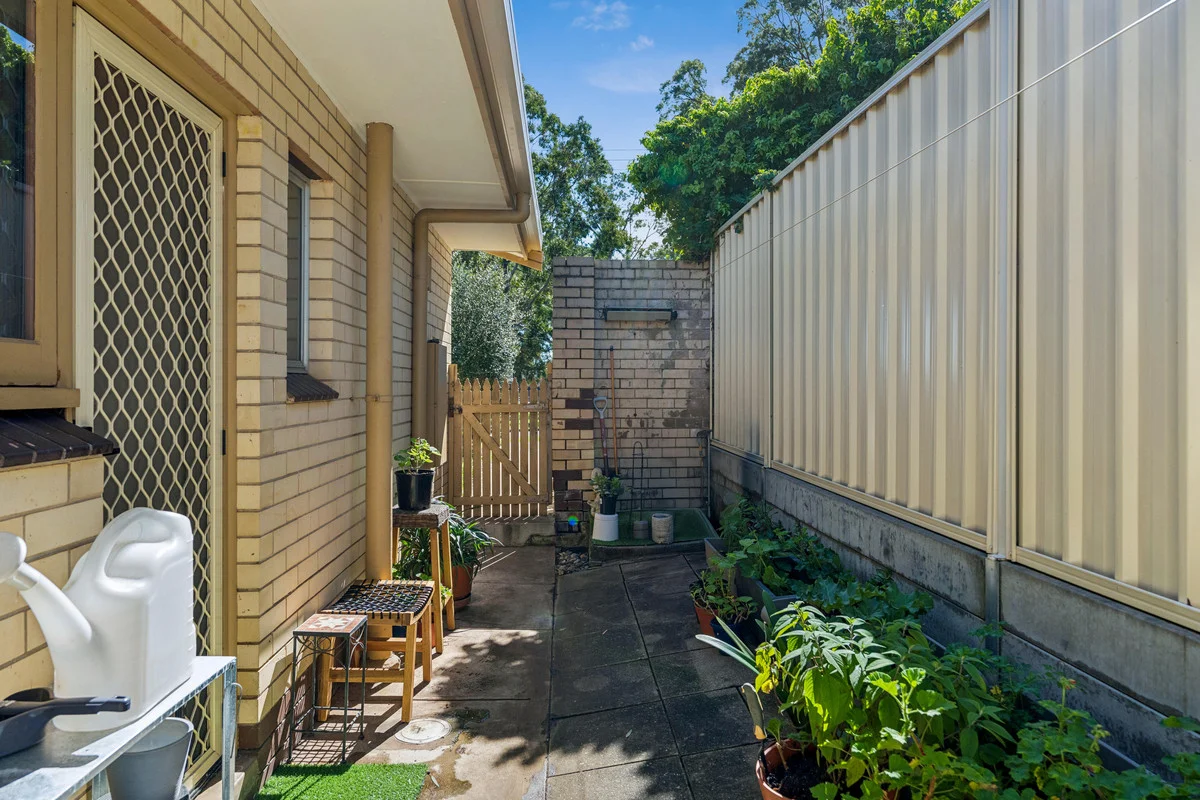 1/1 Whinnen Street, St Agnes SA 5097 - Apartment For Rent | Domain