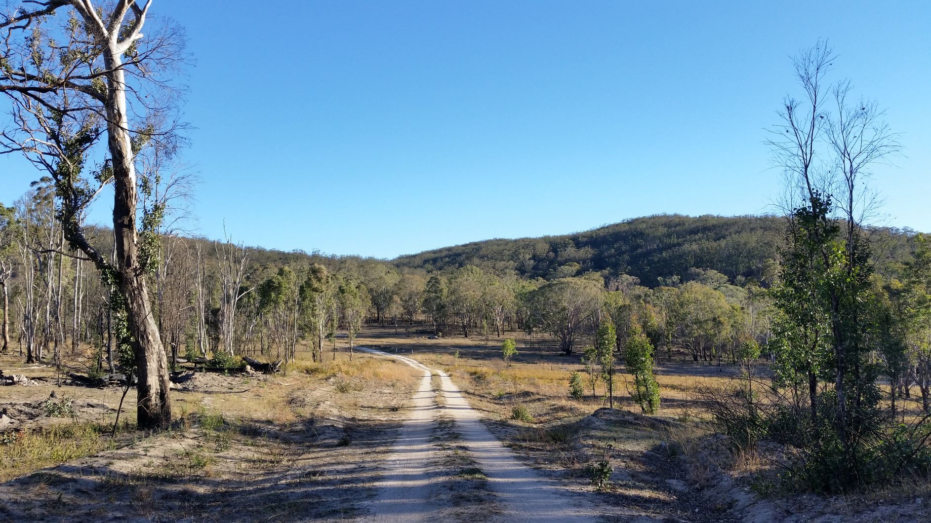 Property Report for Lot 46 Hopgood Road, Elbow Valley QLD 4370