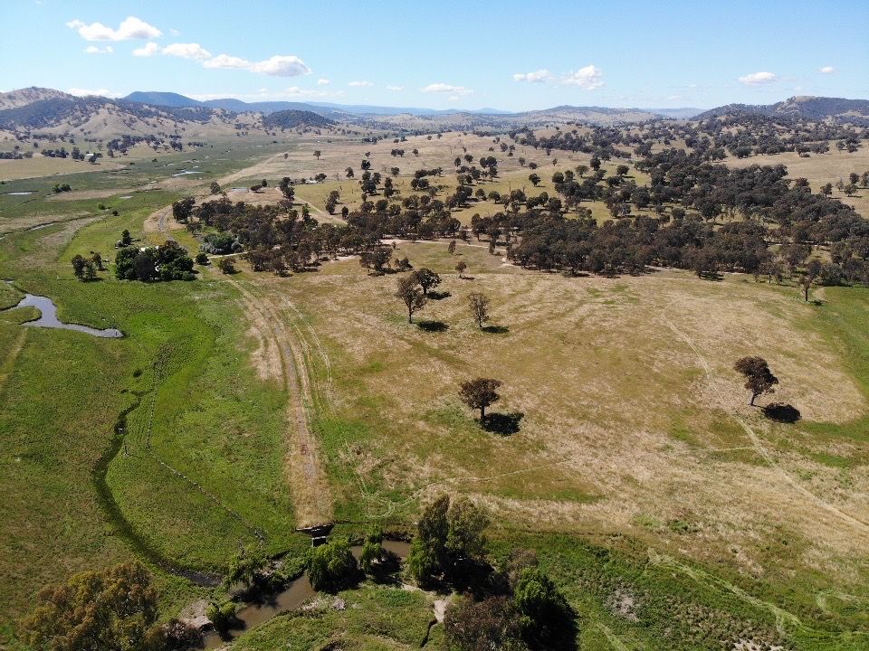 Part 1701 Adelong Road, Adelong NSW 2729, Image 1