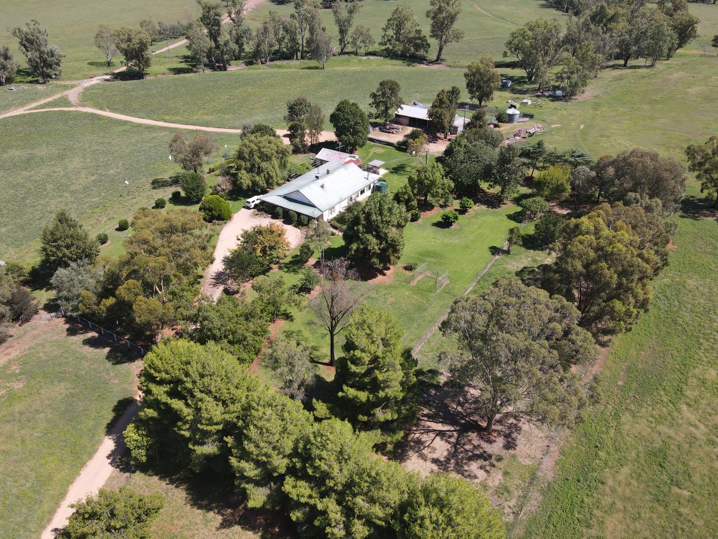 "Avalon", 270 Yells Road, Eugowra NSW 2806, Image 1