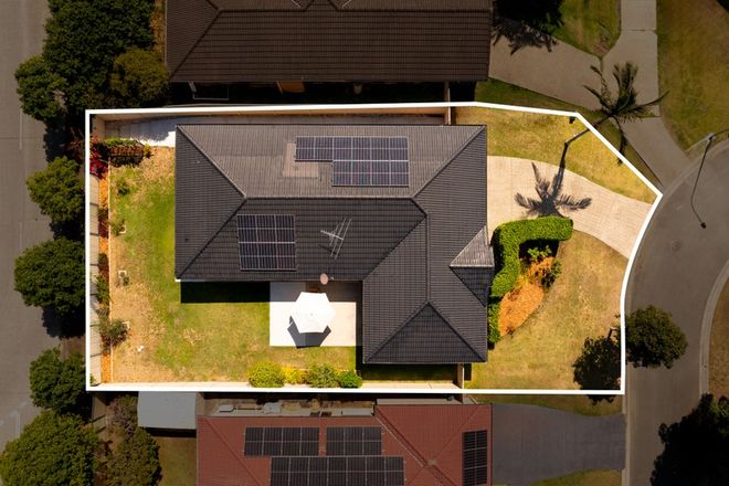 23 Calista Crescent Bracken Ridge 4017 - Image 3