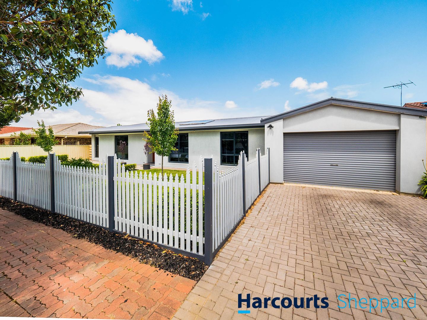 12 Hannam Avenue, Grange SA 5022, Image 1