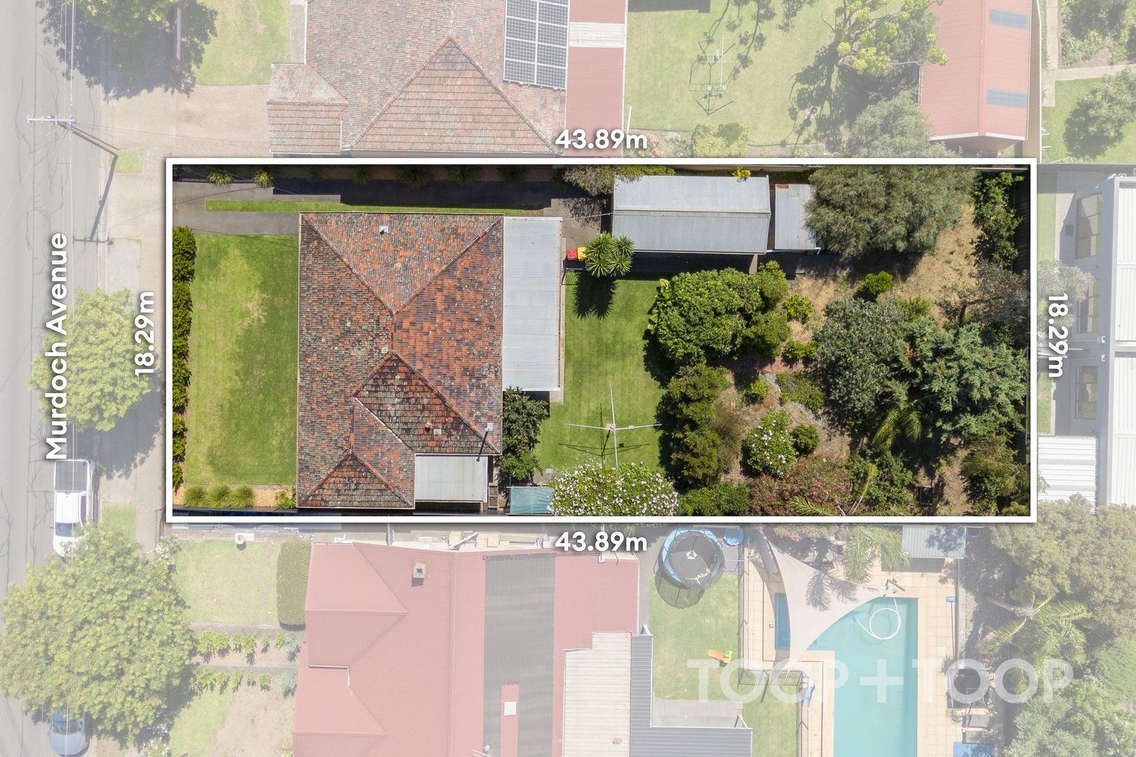 31 Murdoch Avenue, North Plympton SA 5037, Image 1