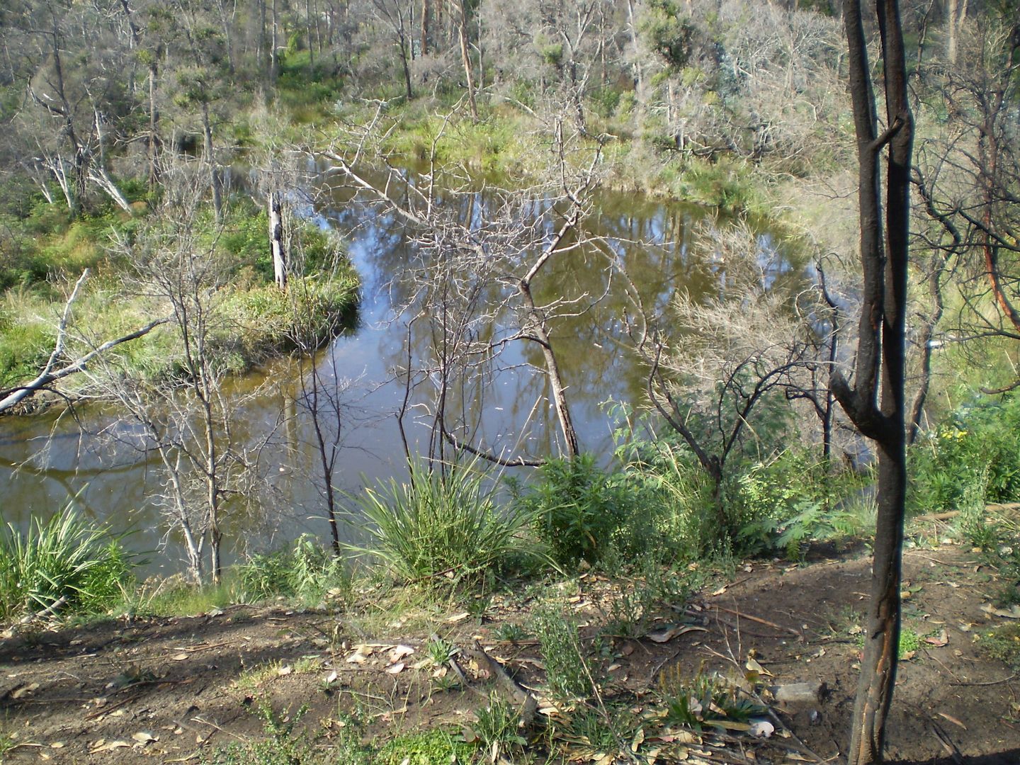 Lot 801 Tasman Highway, Four Mile Creek TAS 7215, Image 2