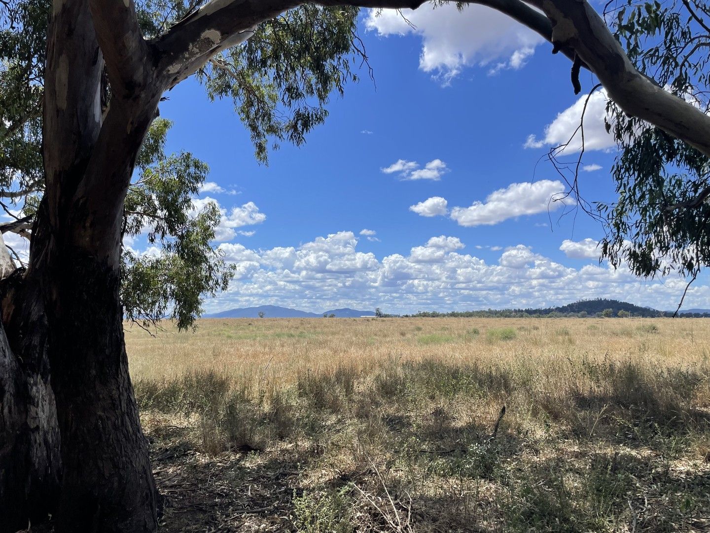 " Bluevale Lagoon" 232 Blue Vale Road, Gunnedah NSW 2380, Image 0