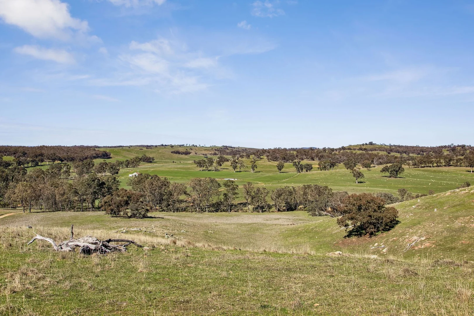Image 15