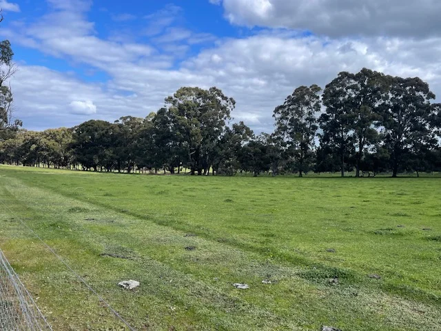 168 Scarp Road, Keysbrook WA 6126 - Farm for Sale | Domain