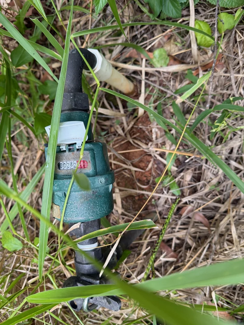 Additional image 6 of 57 Woodlands Circuit, Russell Island QLD 4184