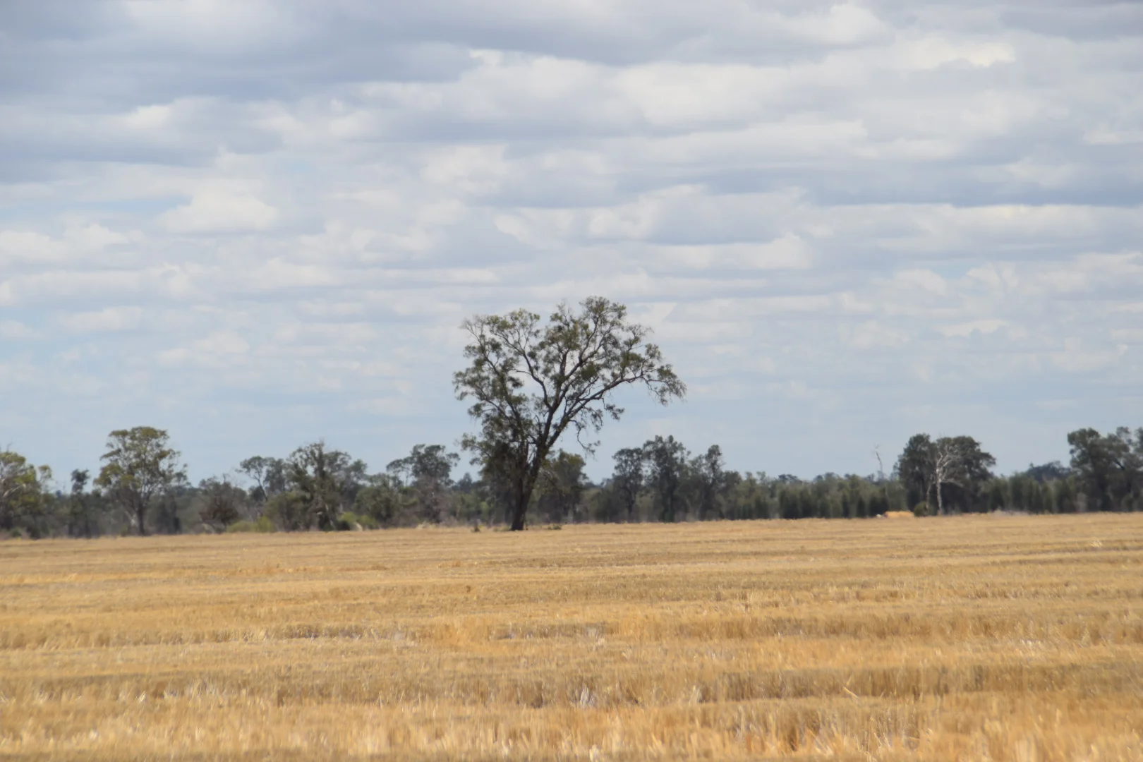Image 29