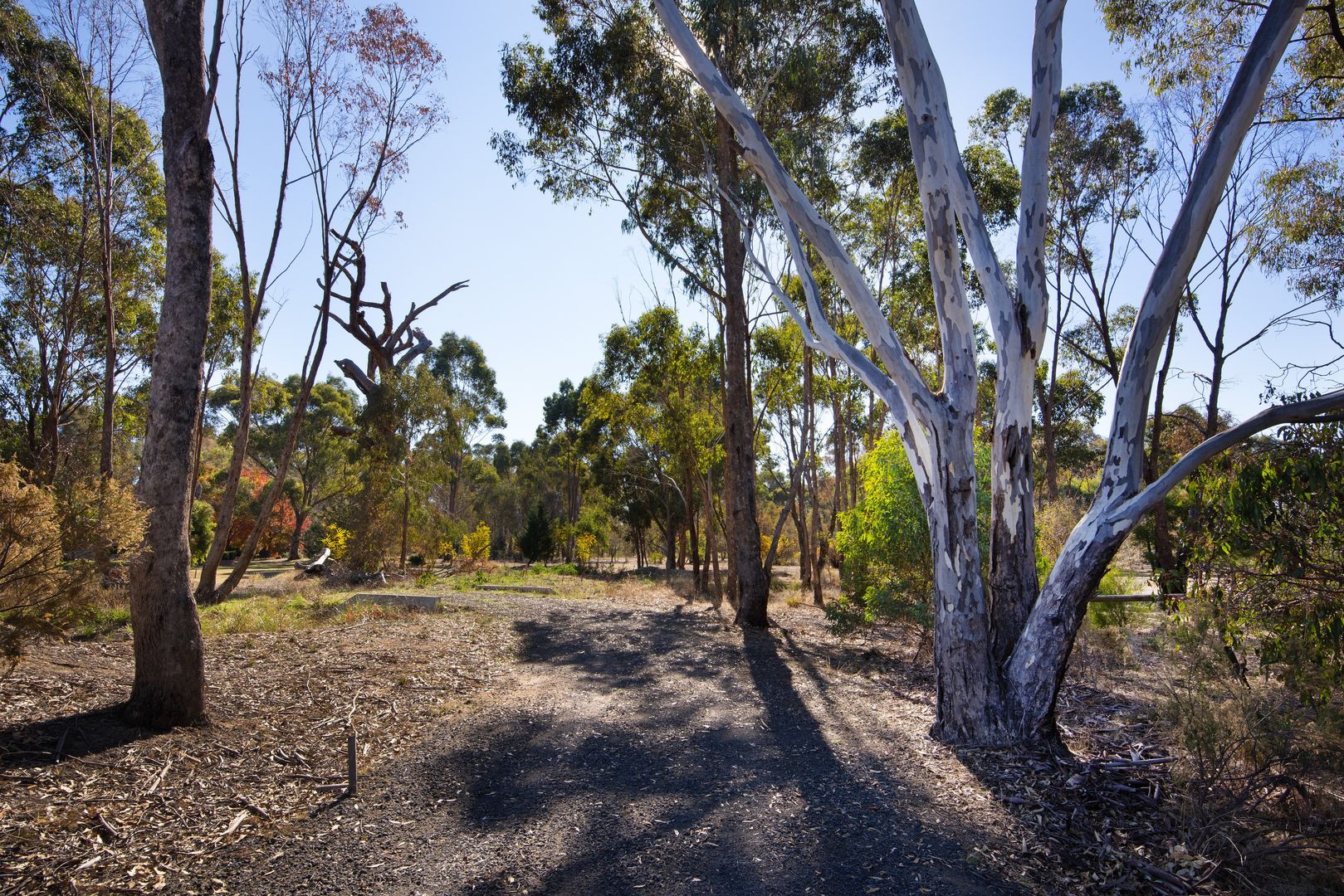 13a Homebush Drive, Junortoun VIC 3551, Image 2