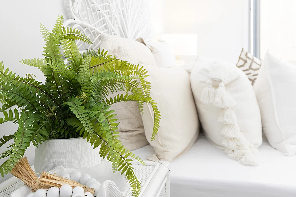 Additional image 6 of Caloundra QLD 4551