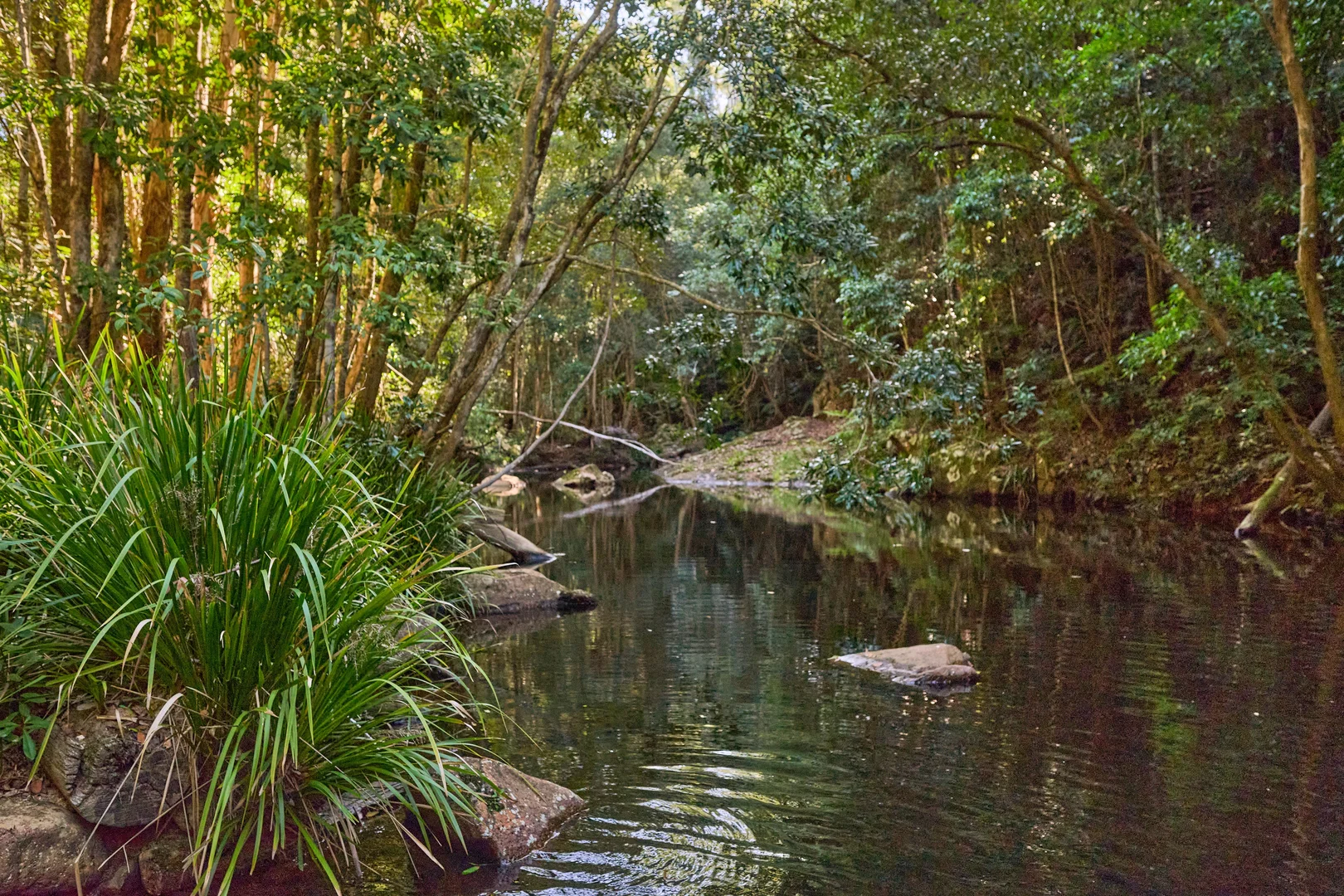 Additional image 29 of 267 Waitui Road, Waitui NSW 2443