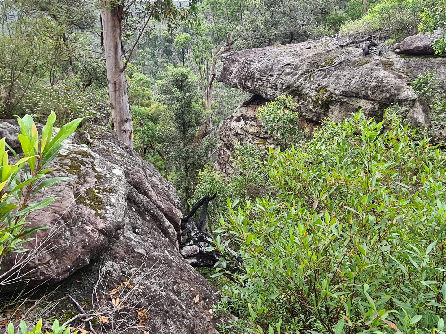 Image 13