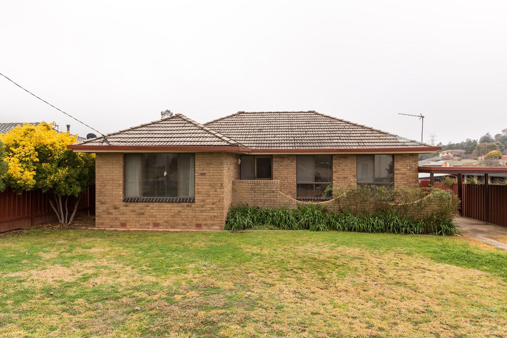 3 Sherwood Avenue, Kooringal NSW 2650, Image 0