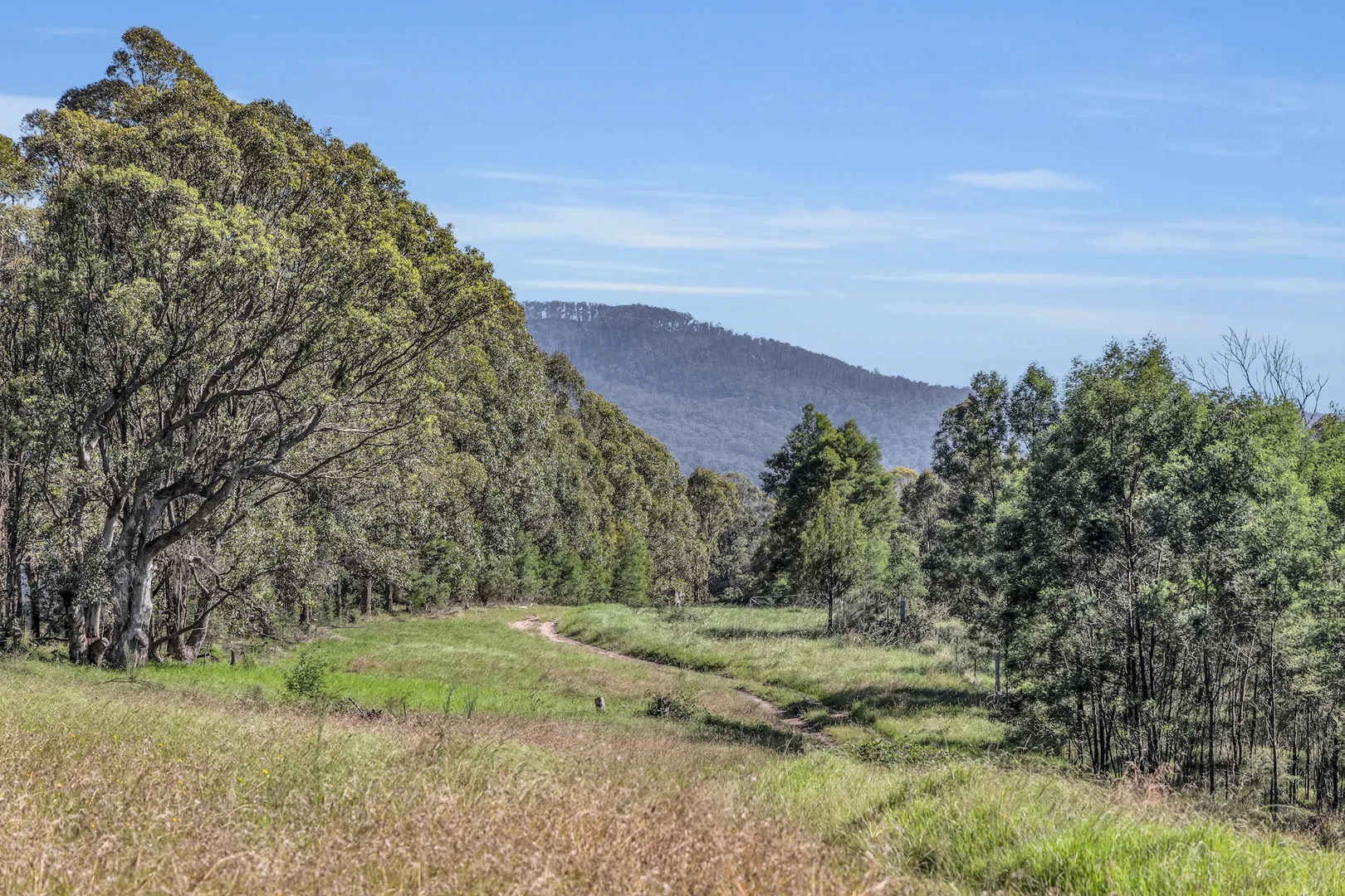 Additional image 6 of 2577 Towamba Road, Towamba NSW 2550