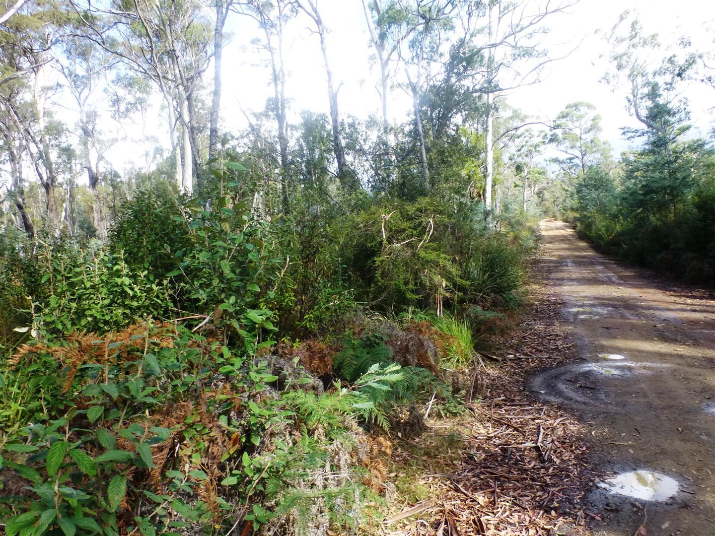 Lot 1 Tattersalls Road, Beaconsfield TAS 7270, Image 1