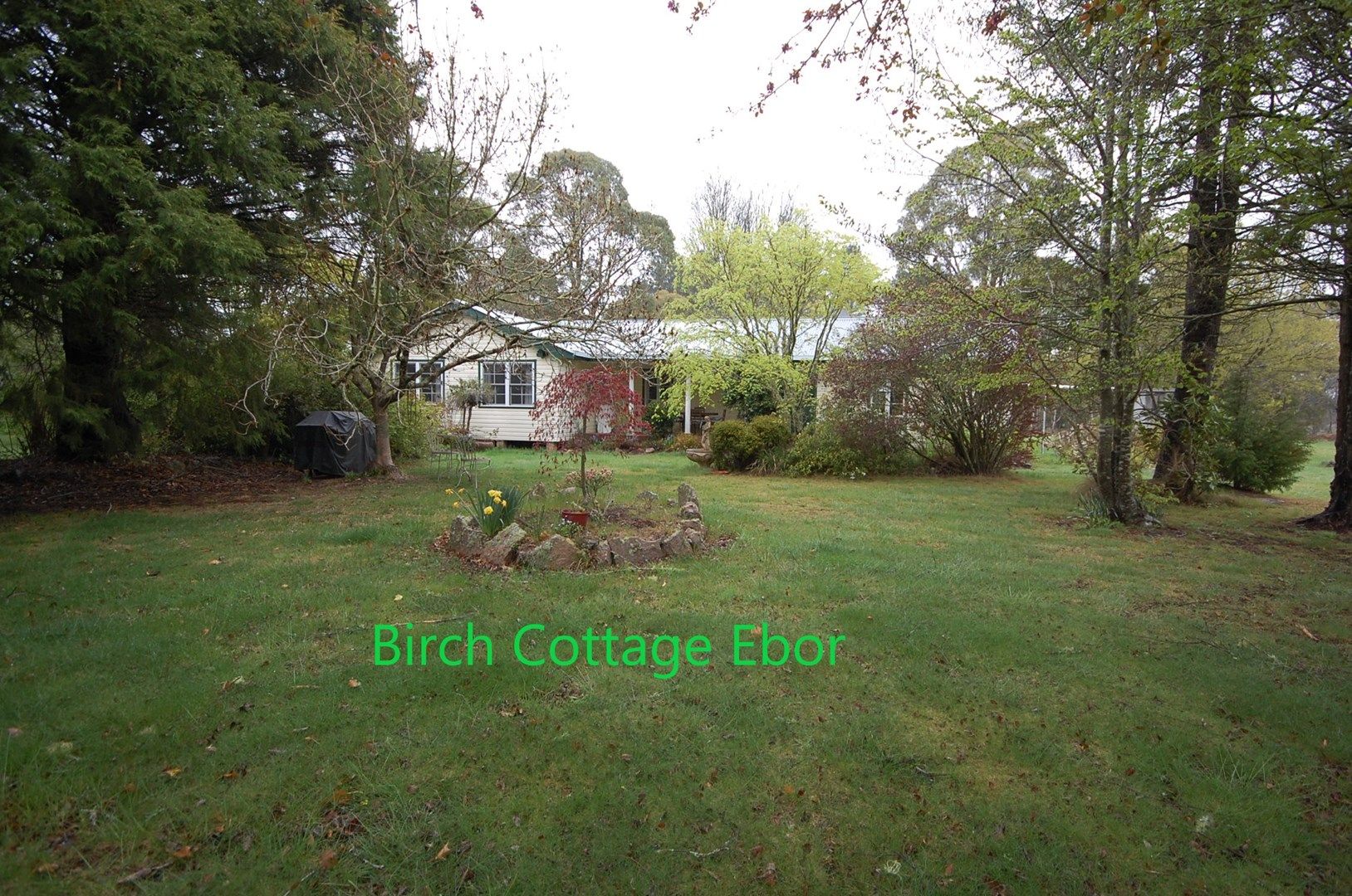 13 PIPECLAY STREET, Ebor NSW 2453, Image 0