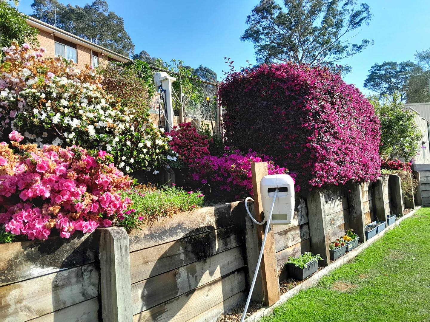 Additional image 27 of 18 Angophora Place, Catalina NSW 2536