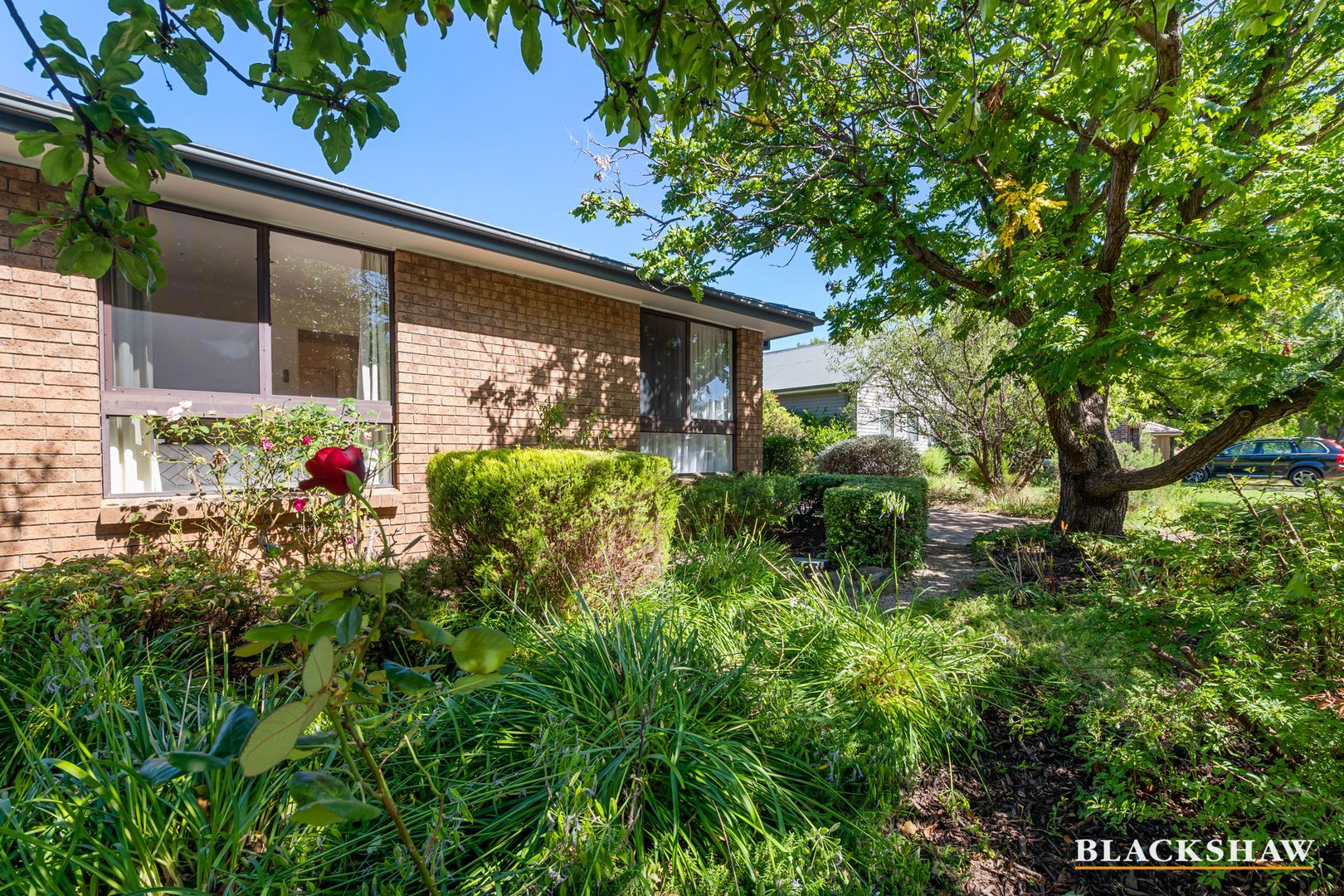 8 Nimbin Street, Narrabundah ACT 2604, Image 2