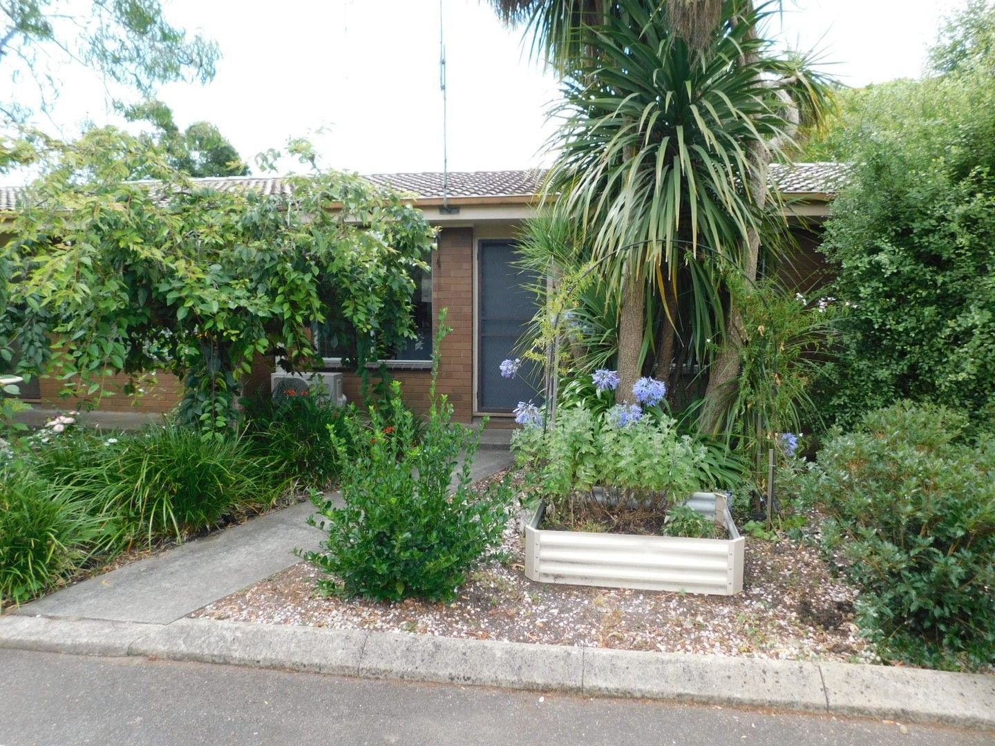 1 bedrooms Apartment / Unit / Flat in 3/45 Otway Street South BALLARAT EAST VIC, 3350