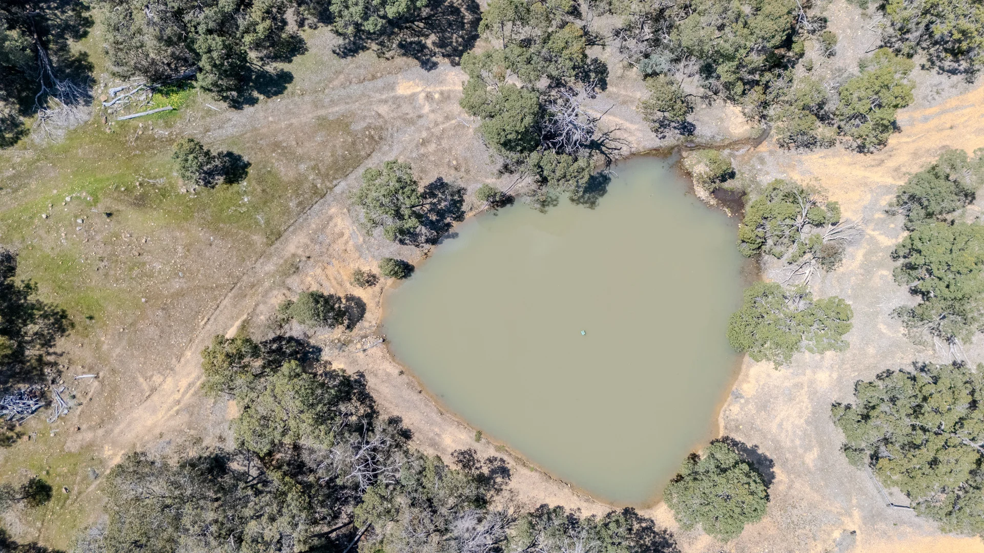 Image 10