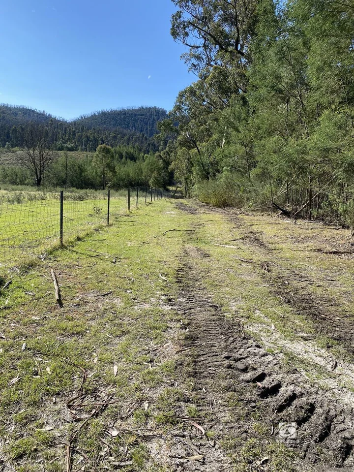 Additional image 12 of Lot 1/303 Basin Road, Buchan VIC 3885