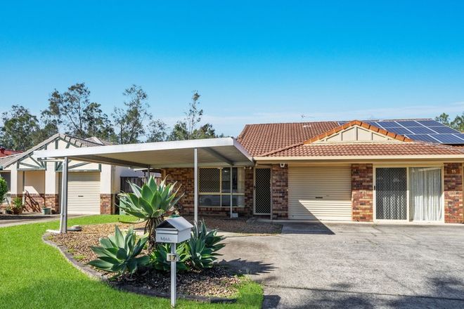 Picture of 17 Trade Winds Drive, HELENSVALE QLD 4212