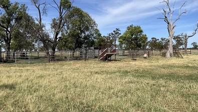 Picture of 50 Warrena Road, COONAMBLE NSW 2829
