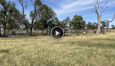 Picture of 50 Warrena Road, COONAMBLE NSW 2829