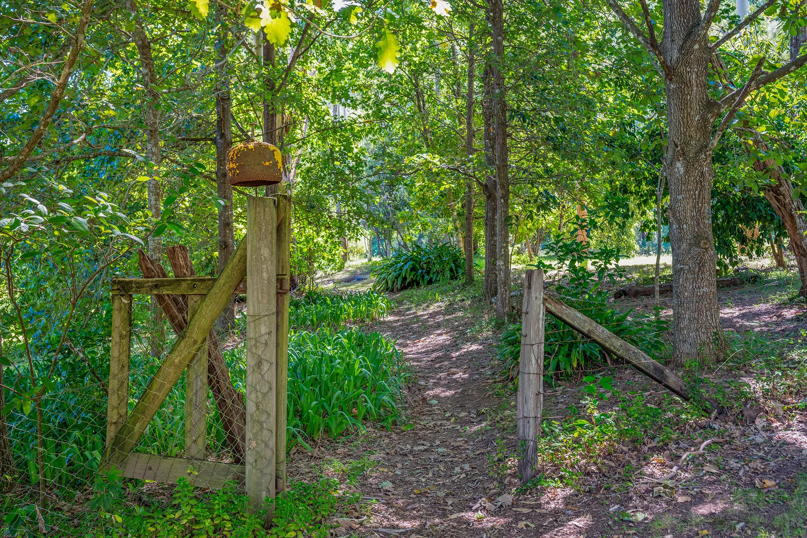 Additional image 24 of 86 Toms Creek Road, Ellenborough NSW 2446