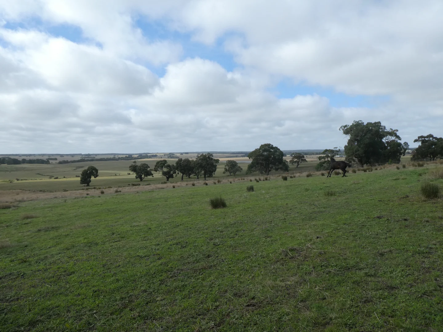 Image 10