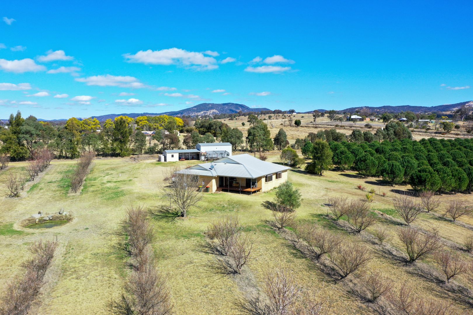 362 New England Highway, Tenterfield NSW 2372 Domain