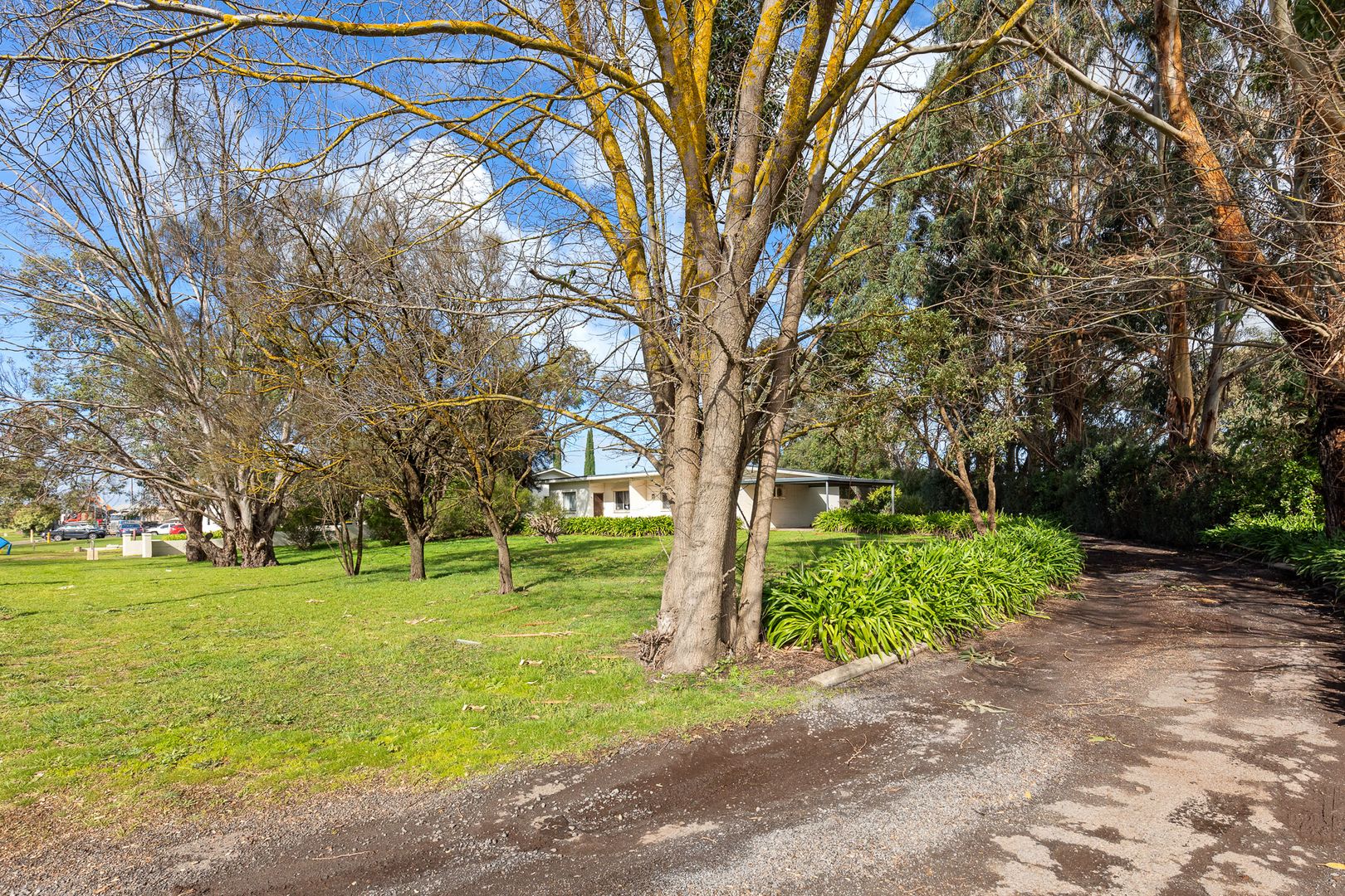 239 Jubilee Highway West, Mount Gambier SA 5290, Image 2