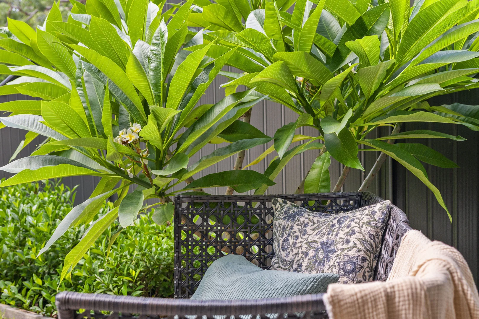 Additional image 9 of 12/3-5 Winston Street, Asquith NSW 2077