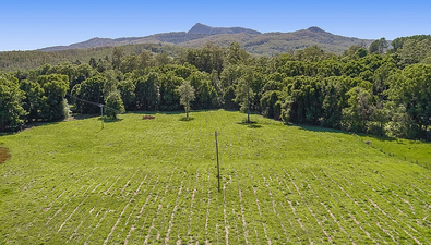 Picture of 1 Back Creek Road, BRAYS CREEK NSW 2484