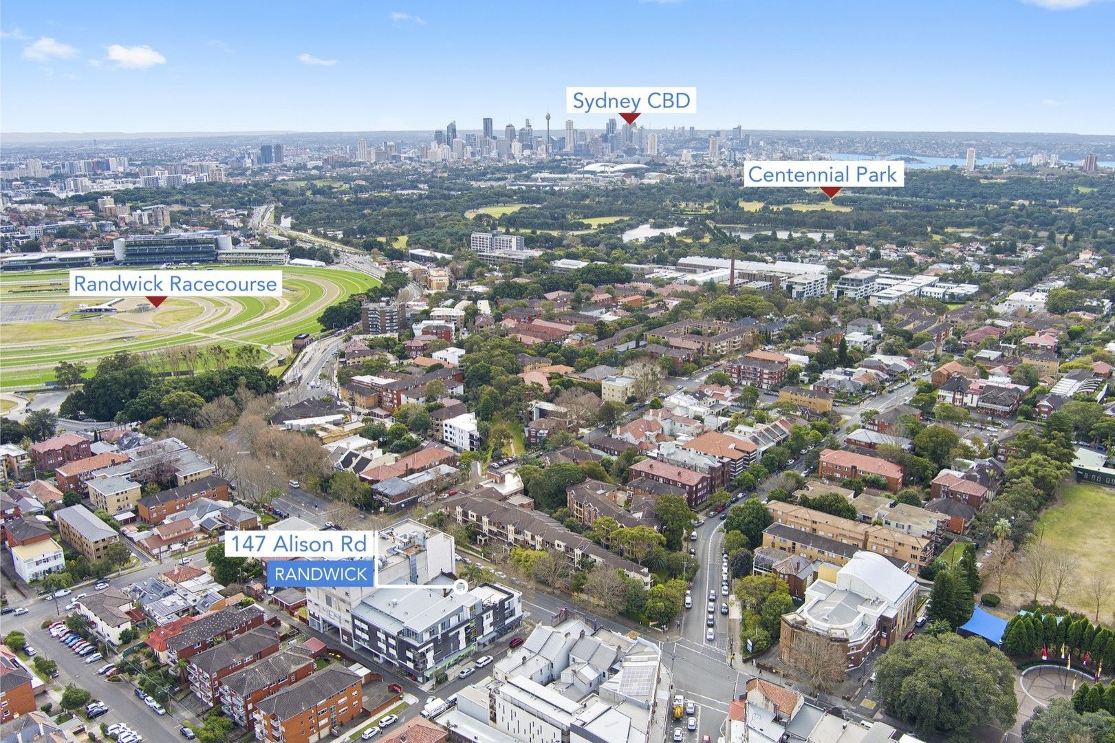 145 Alison Road, Randwick NSW 2031 Domain
