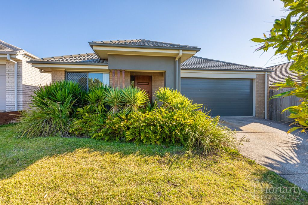 4 bedrooms House in 41 Bergamot Cct GRIFFIN QLD, 4503