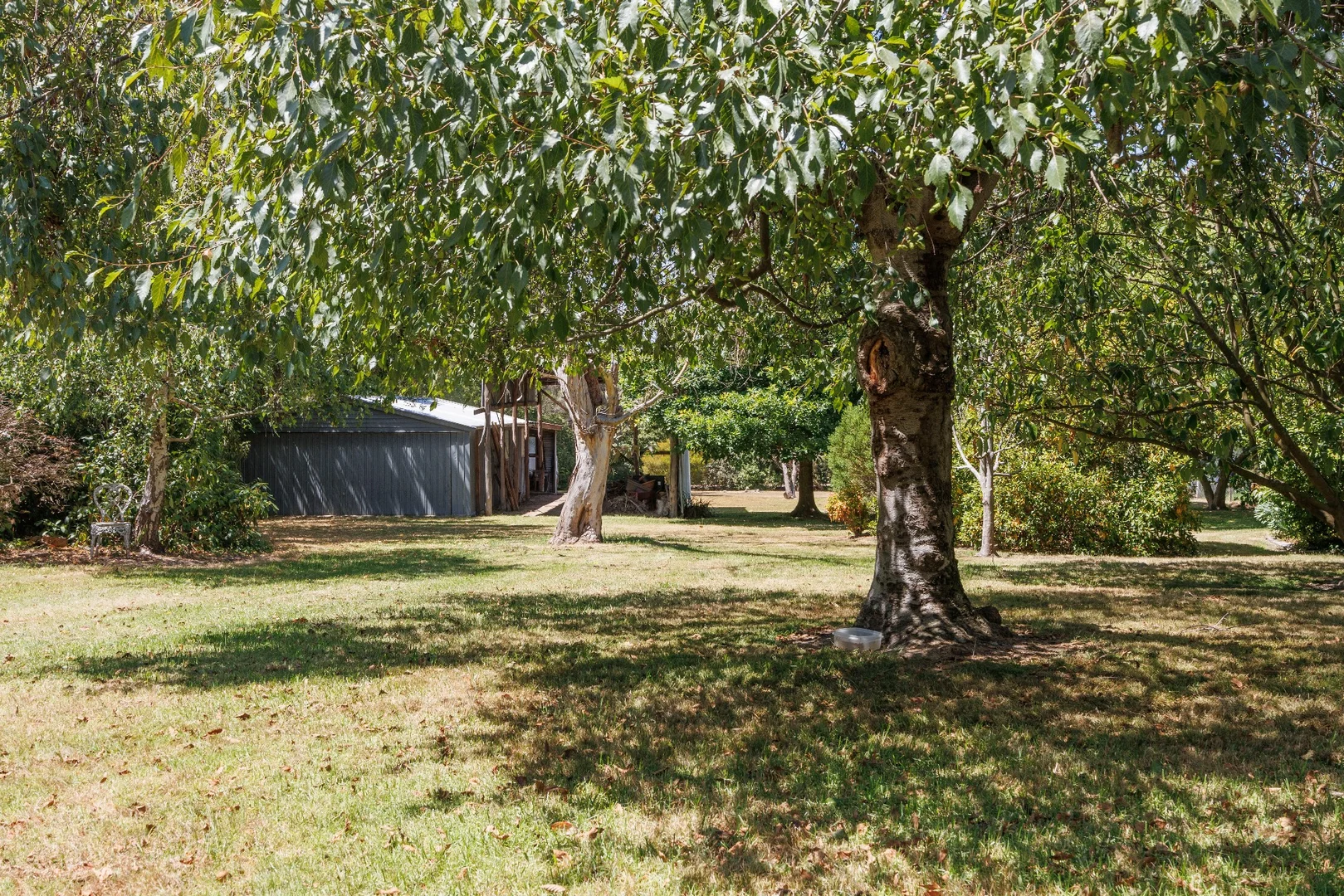Image 15