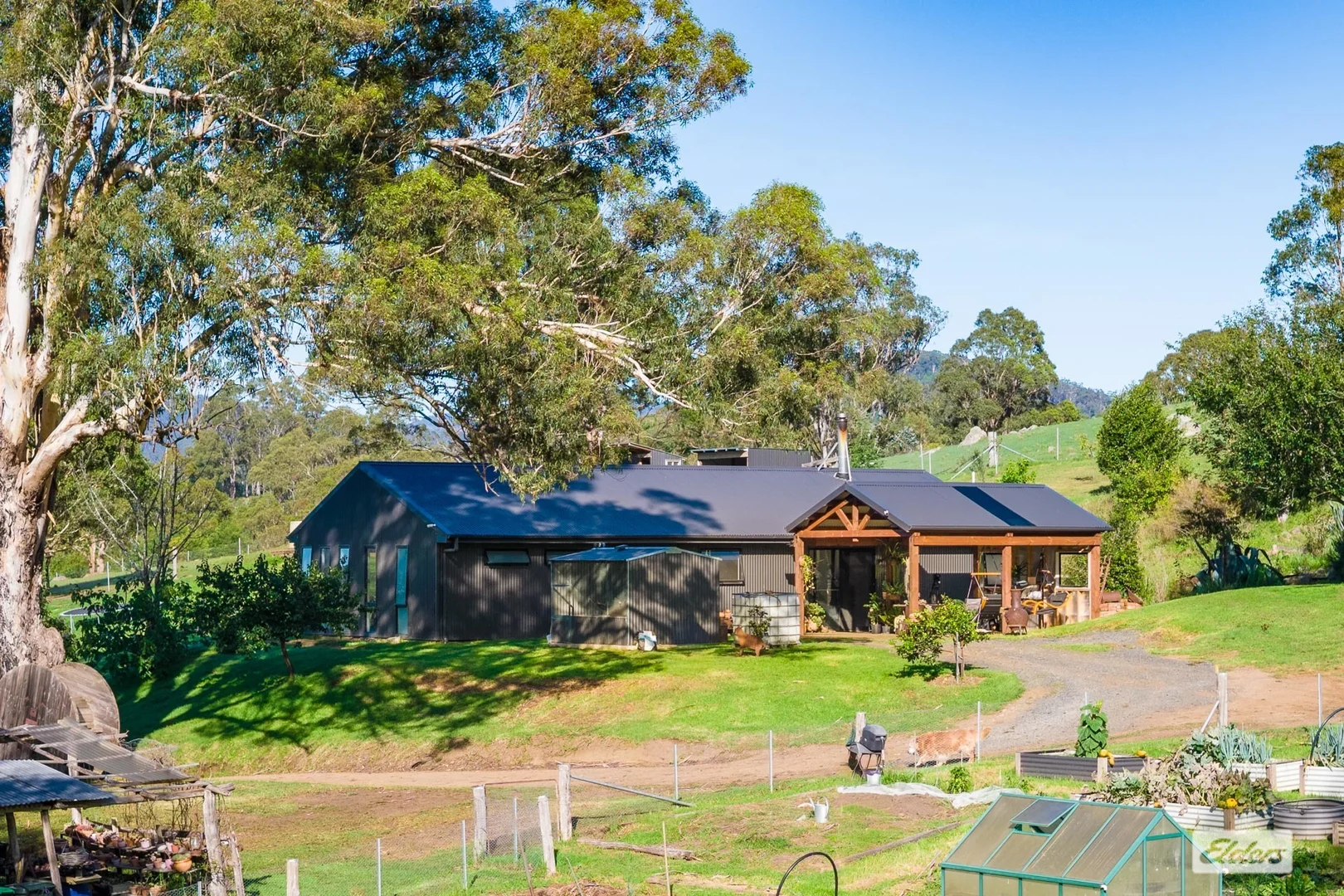 613 New Buildings Road, Wyndham NSW 2550