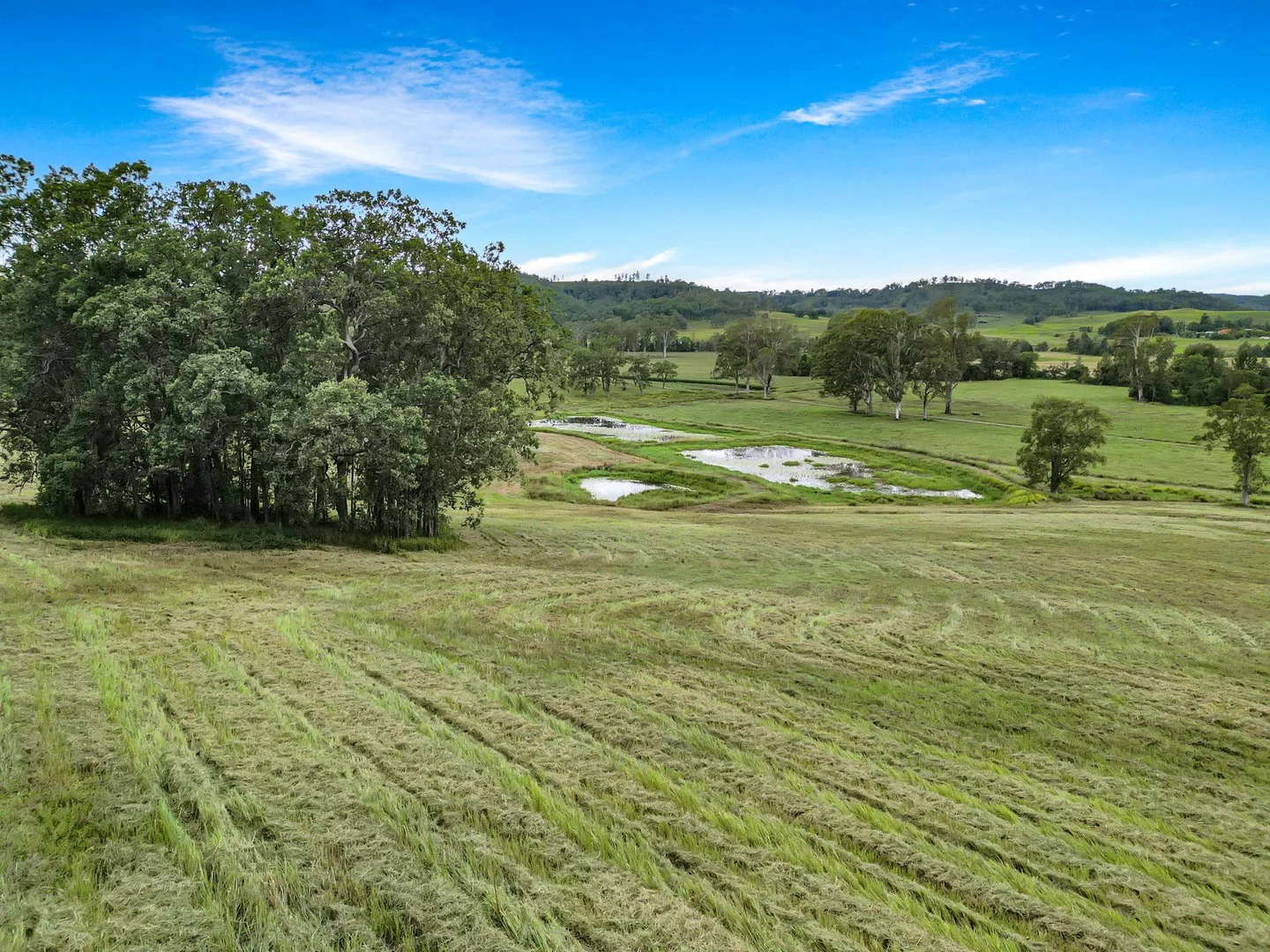 Primary image of Lot 146 Nolans Road, Mummulgum NSW 2469