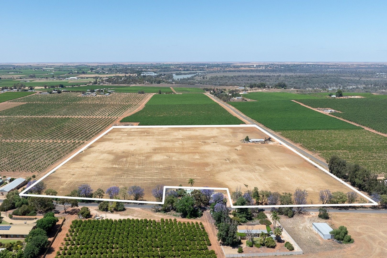 Rural in 154 Casson Avenue, LOXTON SA, 5333