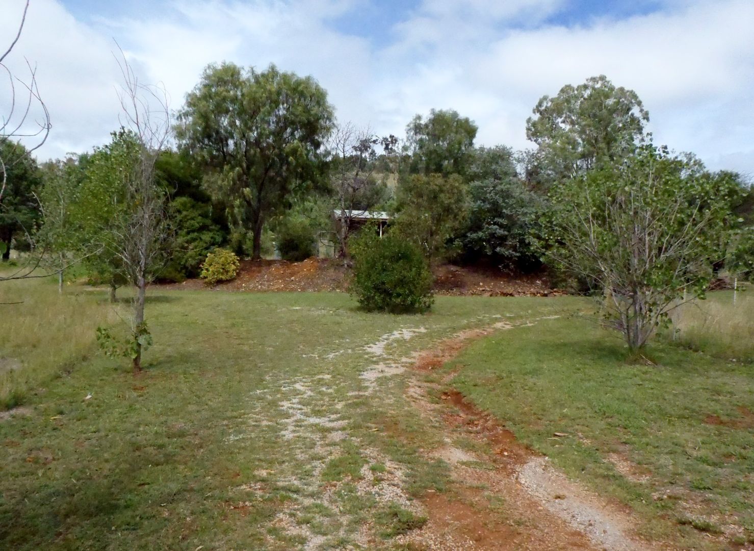 26 Brooklyn Park Rd, Tamworth NSW 2340, Image 1