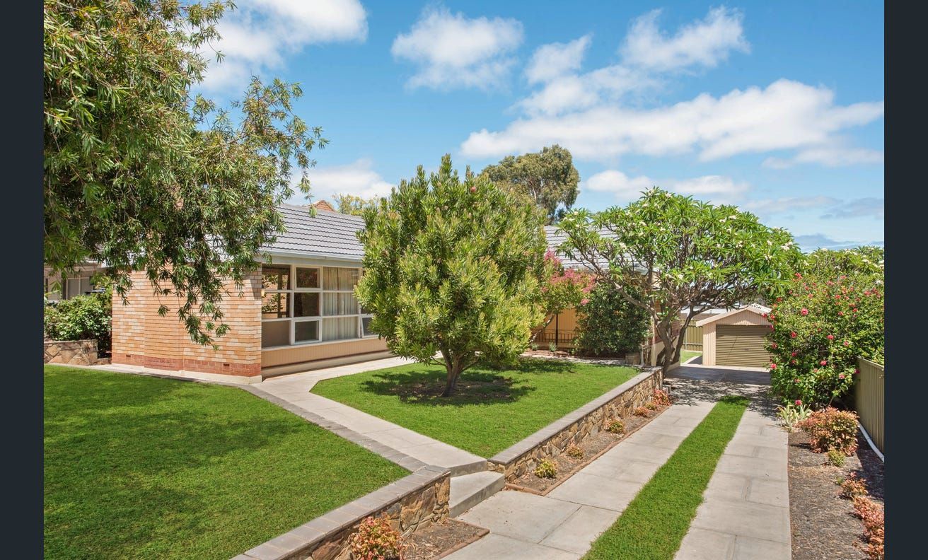 25 Strathcona Avenue, Panorama SA 5041 House For Rent 650 Domain