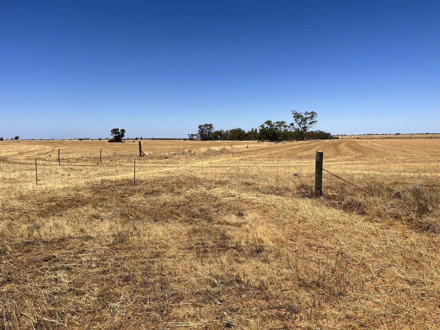 586 Baxter Road, Perenjori WA 6620, Image 0