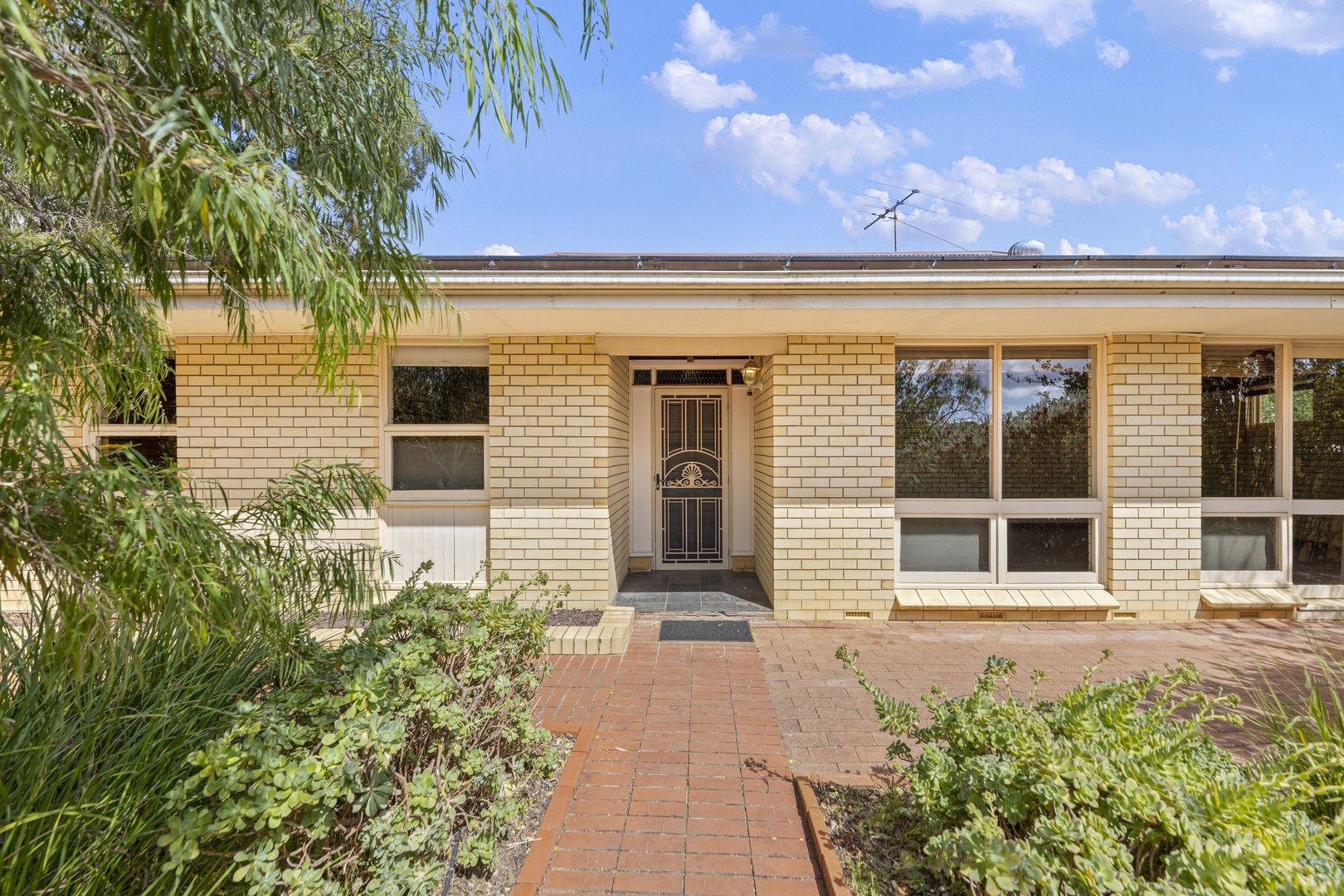 36 Waitara Road, Banksia Park SA 5091, Image 0