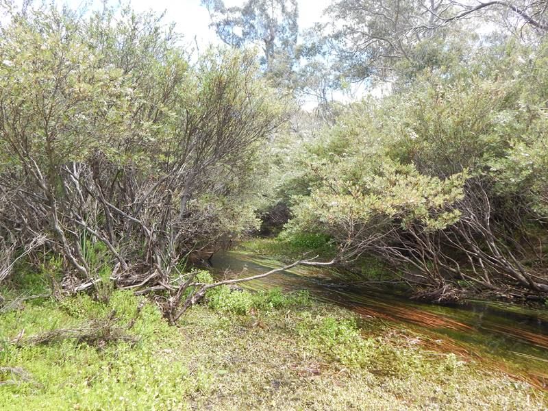 Lot 4 Tuross River, Kybeyan NSW 2631, Image 2