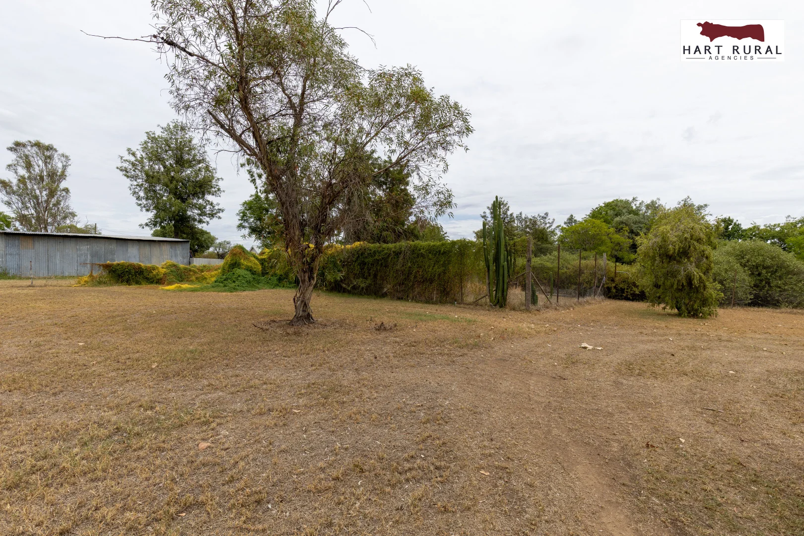 Image 15