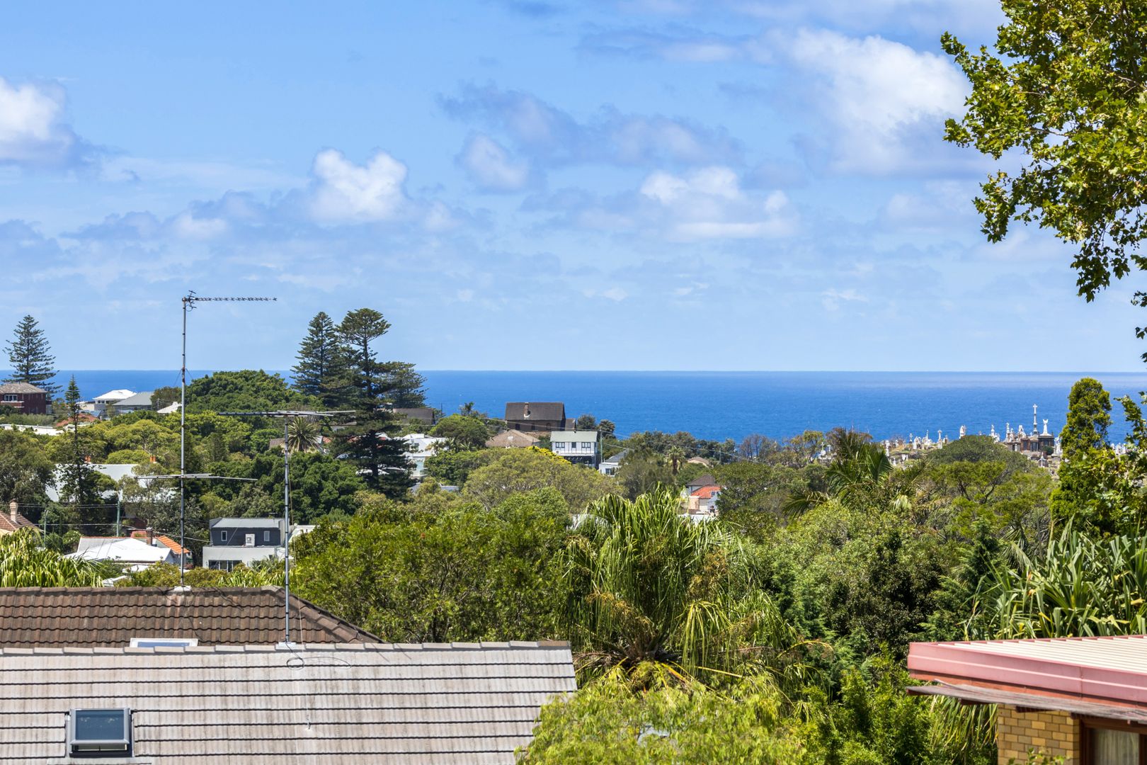 27 Fern Street, Clovelly NSW 2031, Image 1