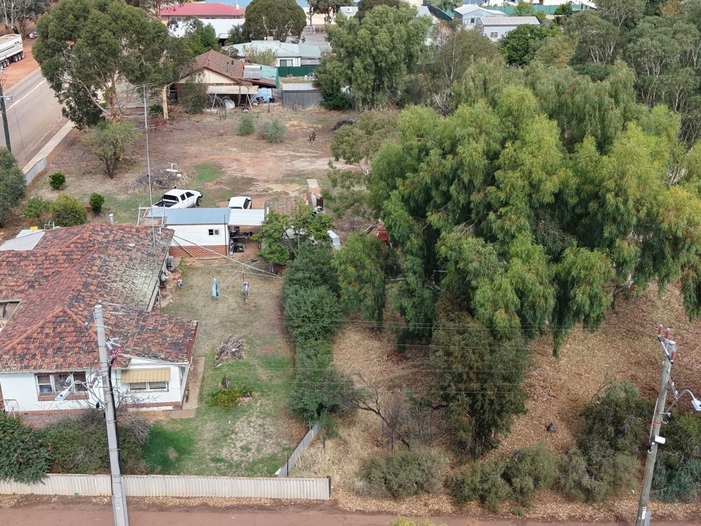 Image 10
