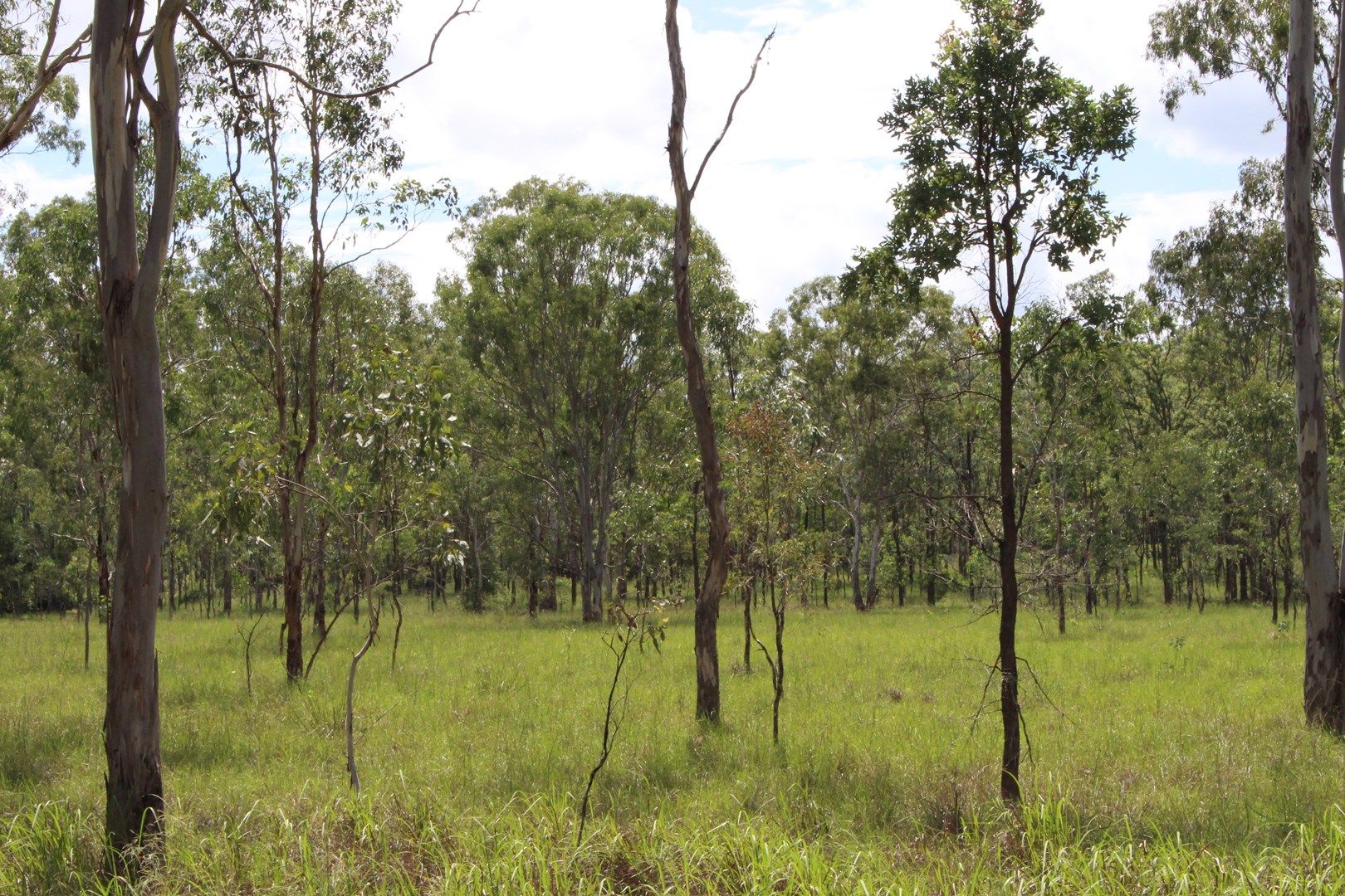 Lot 204 Burnett Street, Nanango QLD 4615, Image 0